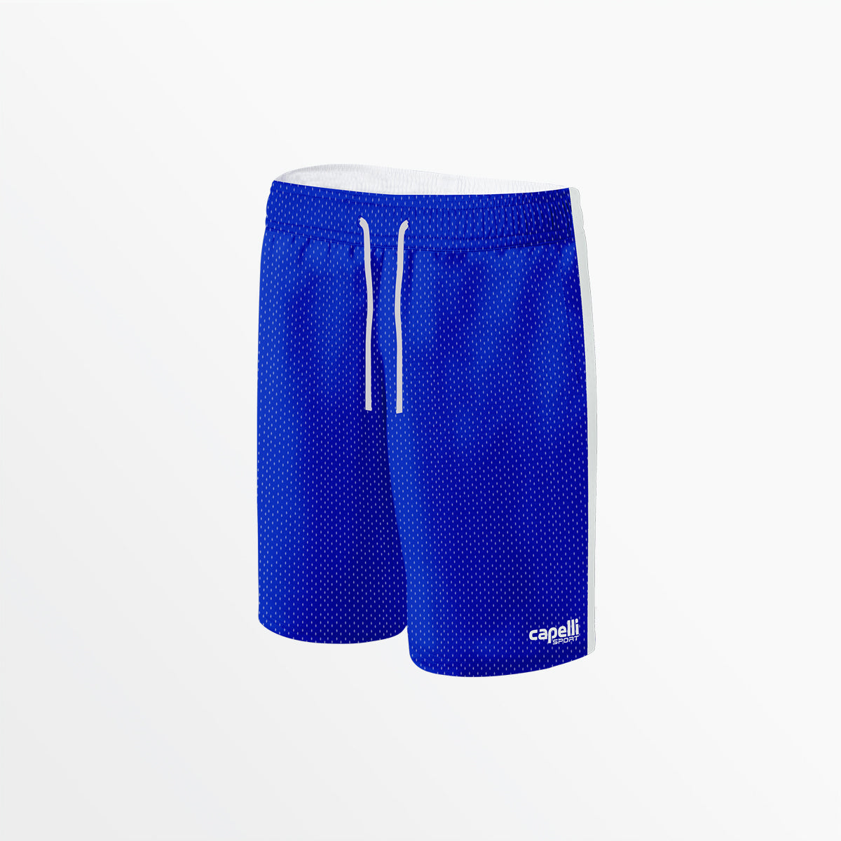 Men's Basics 2-Tone Mesh Shorts Capelli Sport Royal Blue S