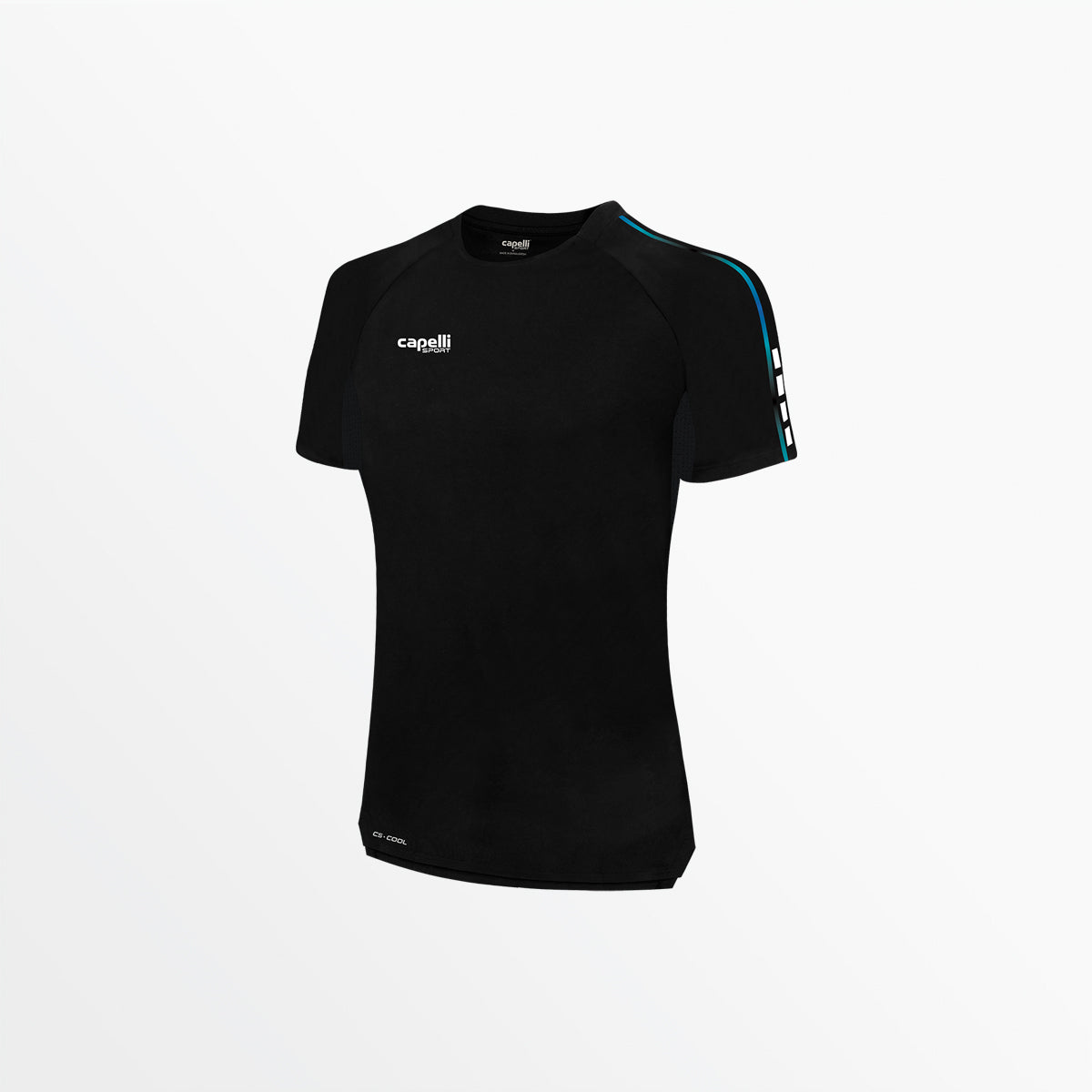 Women's Basics II Ombre Short Sleeve Training Top Capelli Sport