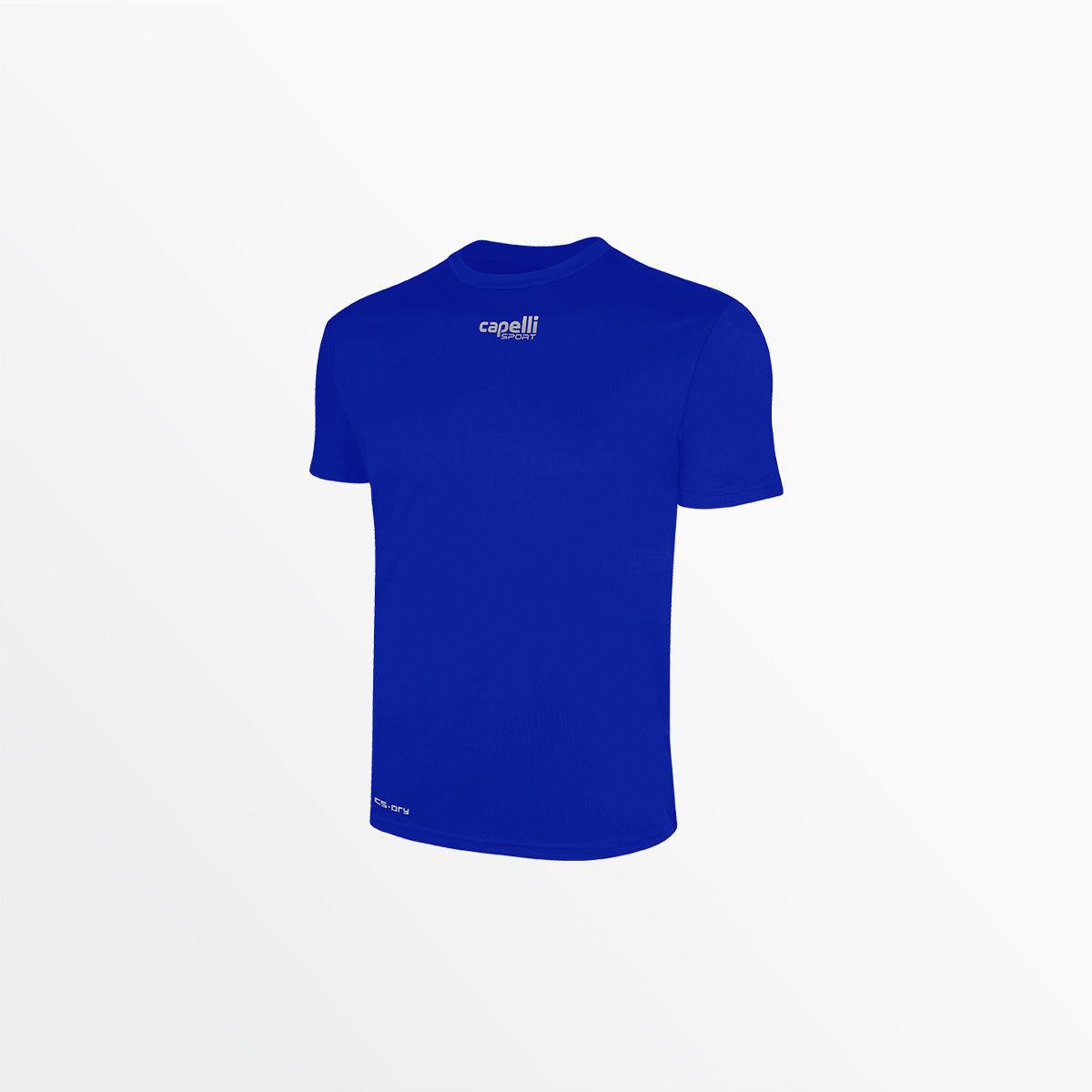 Youth Basics Crew Neck Poly Tee Capelli Sport XXS Royal Blue