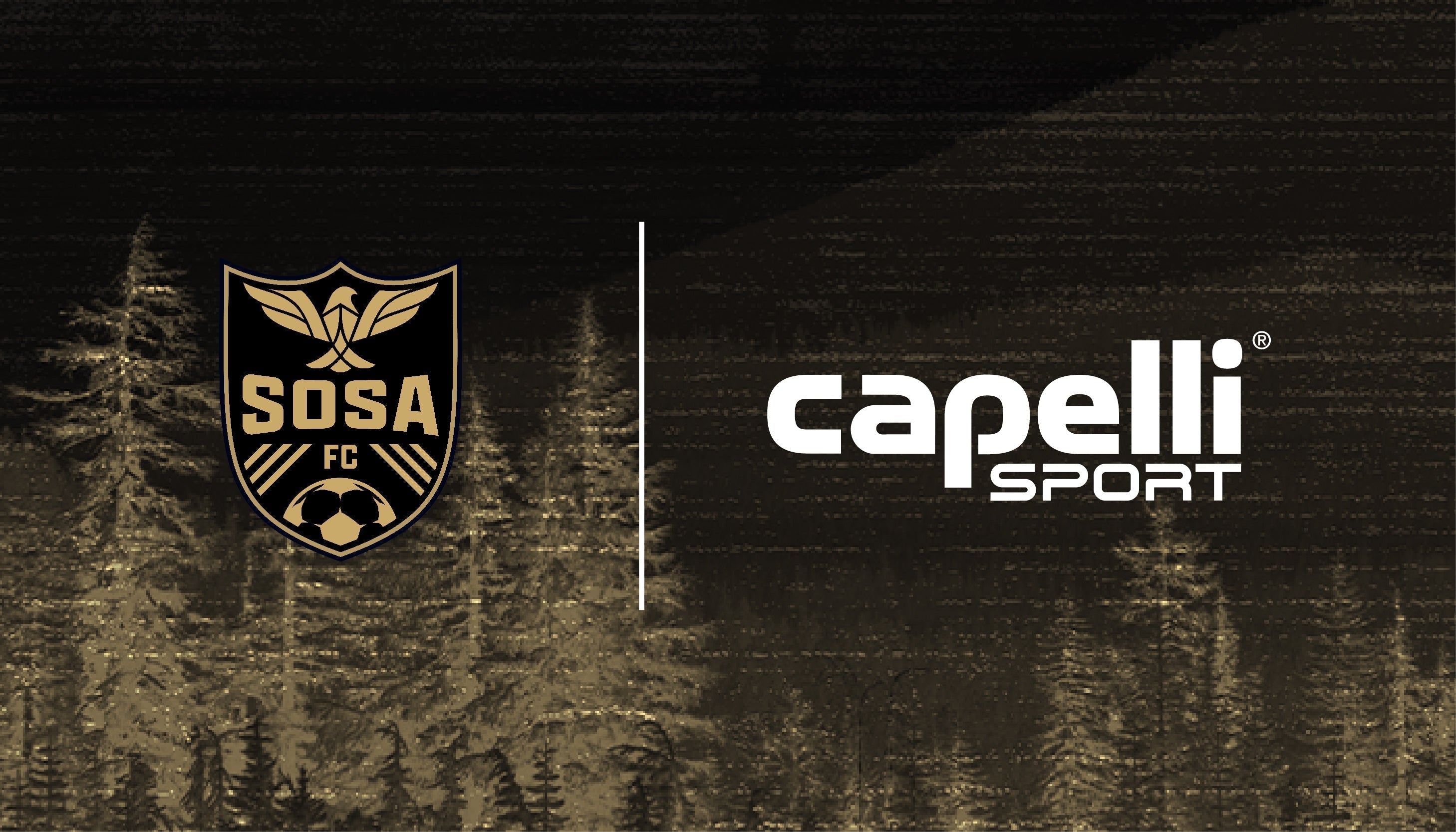 Southern Oregon Soccer Academy