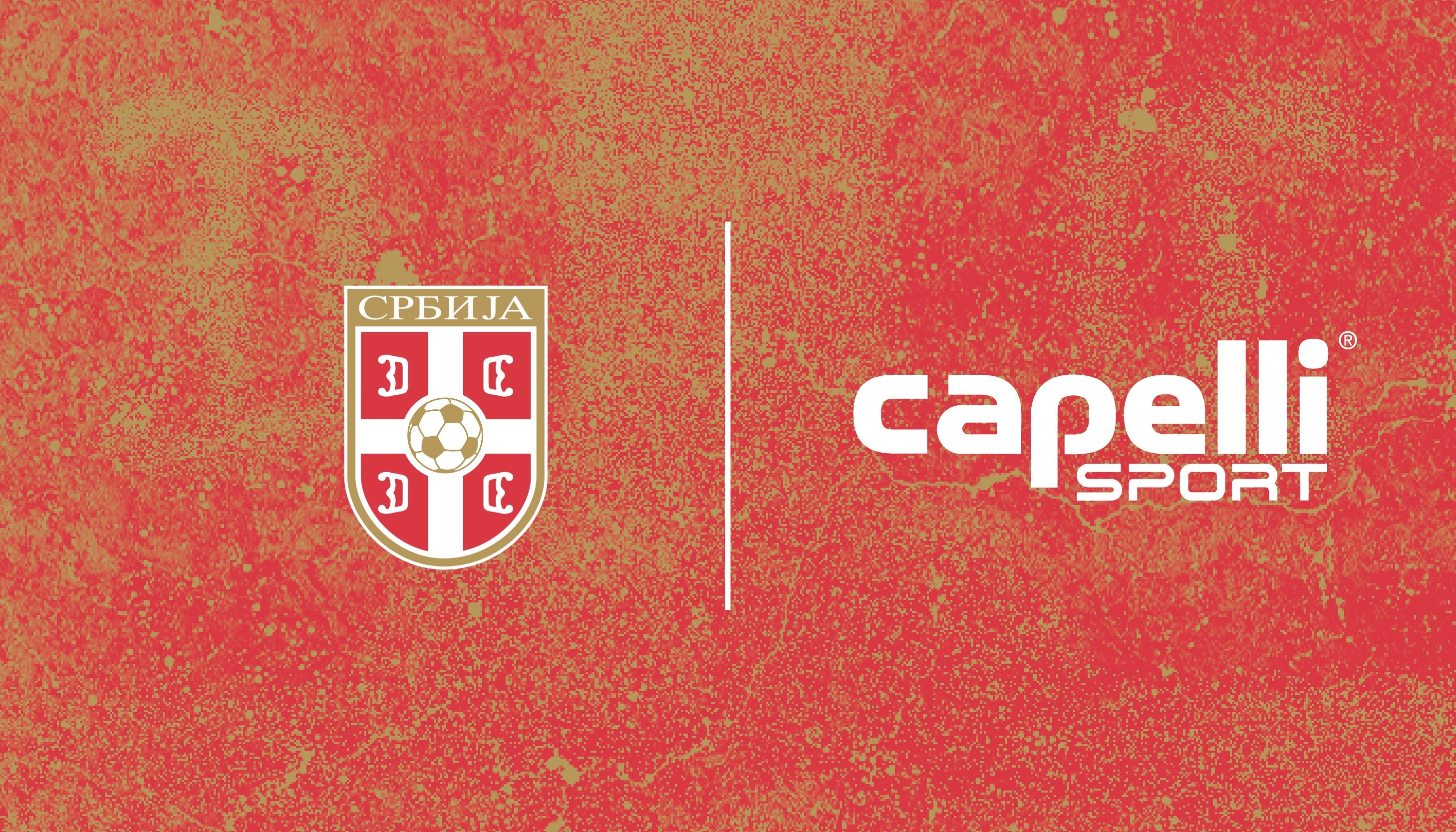 Football Association of Serbia Referees