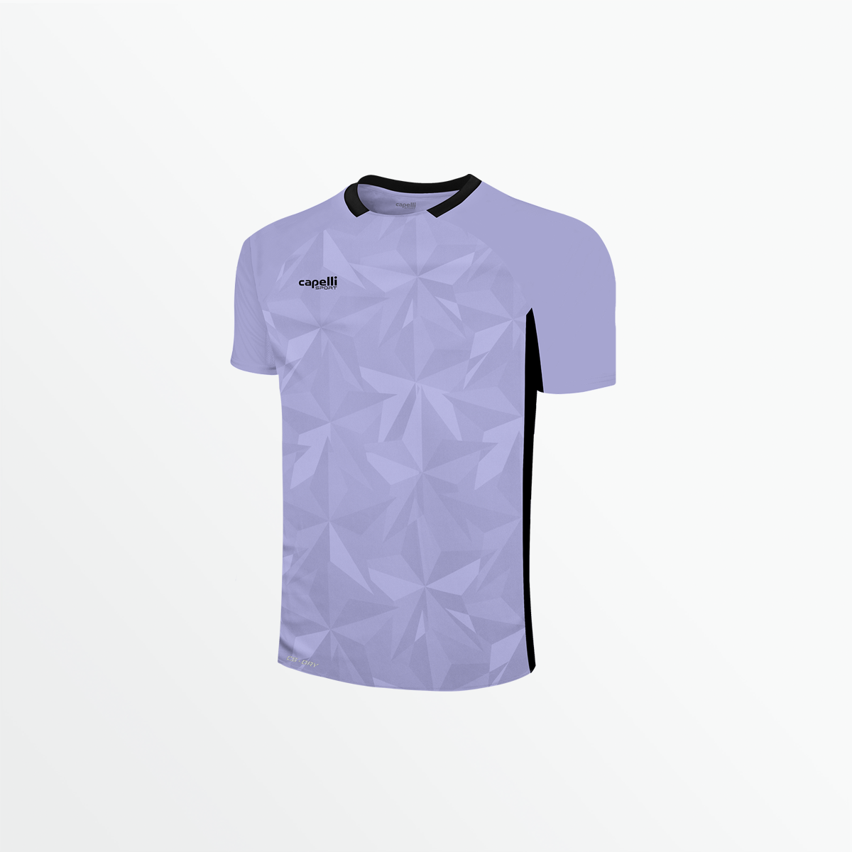 Youth Pitch Star Goalkeeper Jersey Capelli Sport
