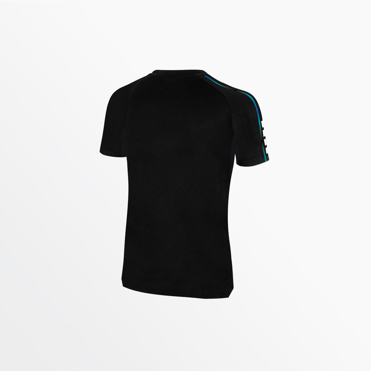Women's Basics II Ombre Short Sleeve Training Top Capelli Sport