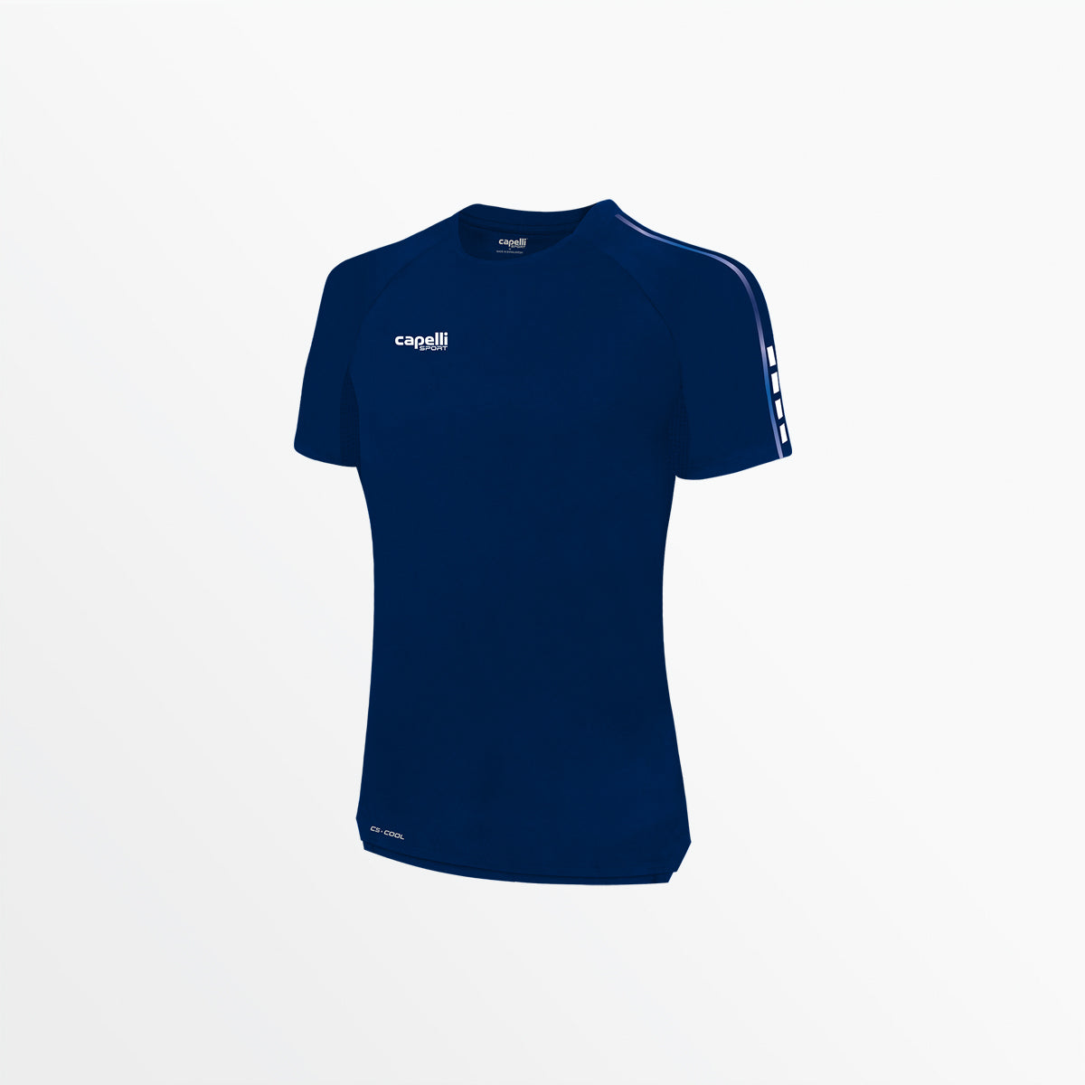 Women's Basics II Ombre Short Sleeve Training Top Capelli Sport