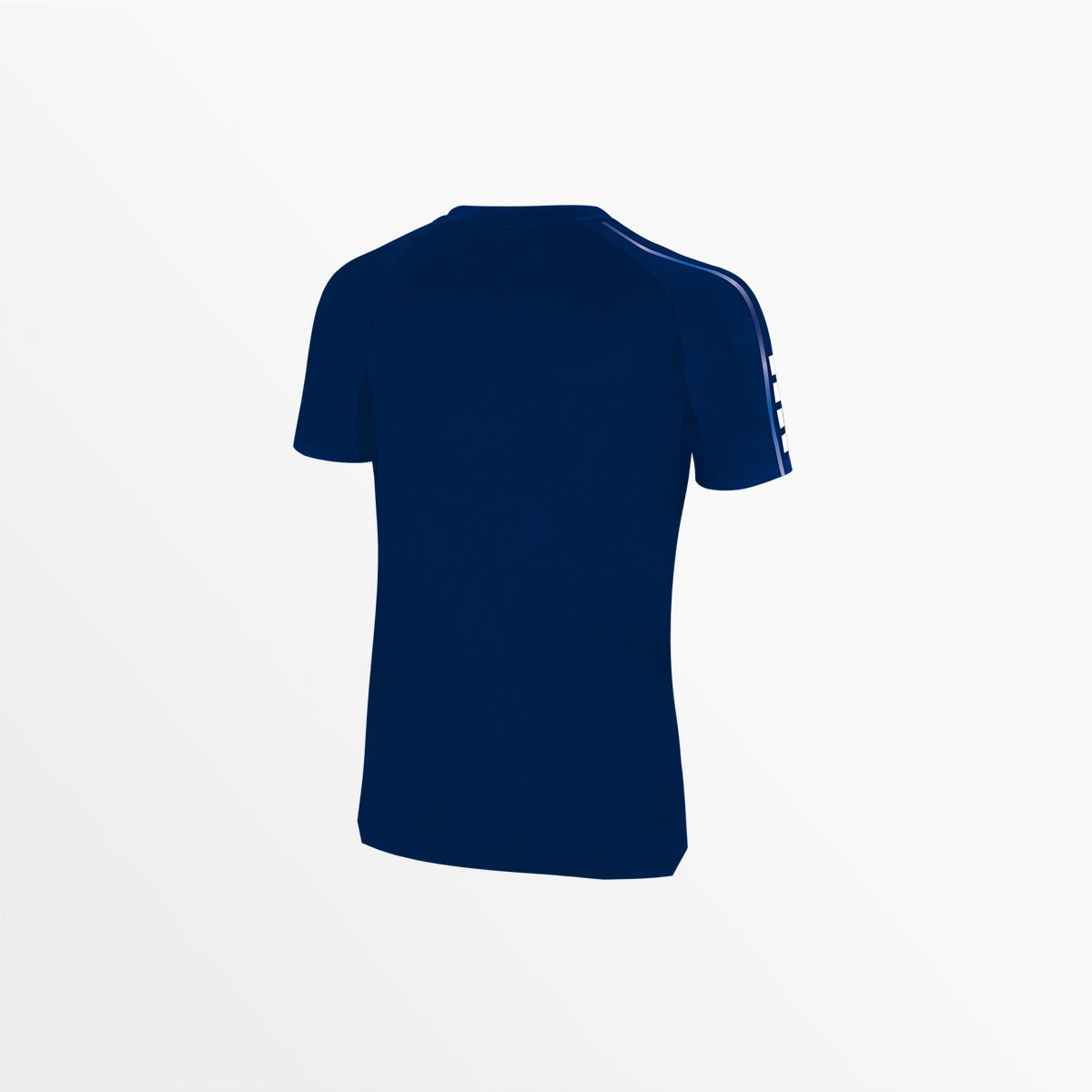 Women's Basics II Ombre Short Sleeve Training Top Capelli Sport