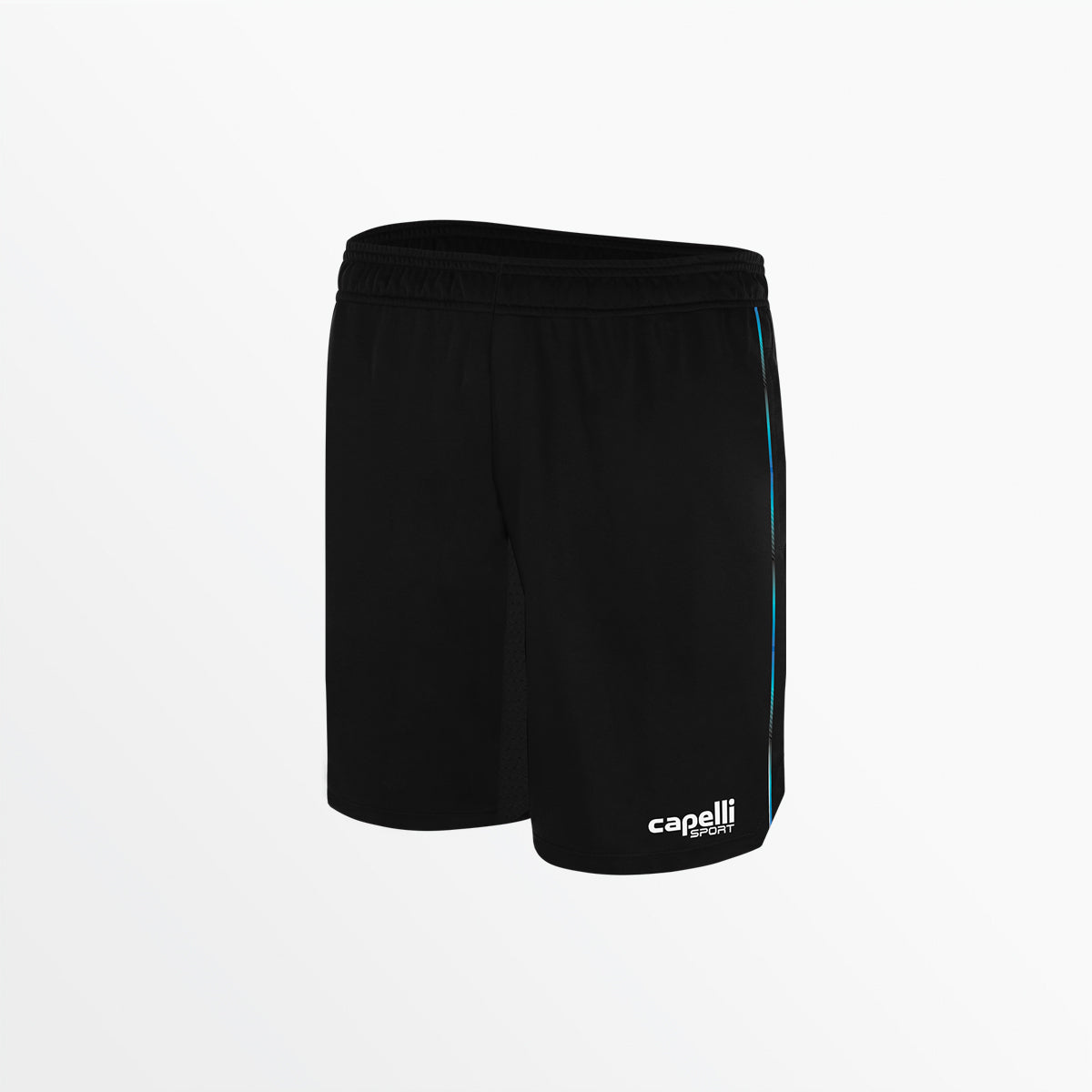 Women's Basics II Ombre Training Shorts With Pockets Capelli Sport