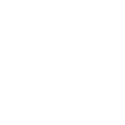 CARLOW UNIVERSITY