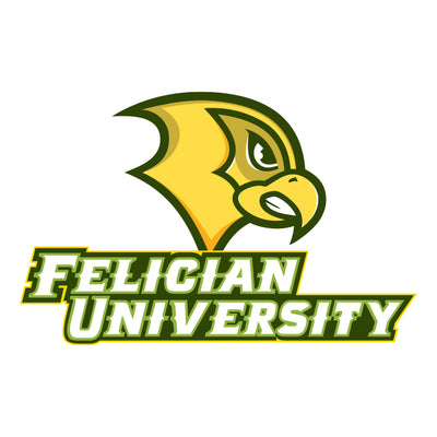 FELICIAN UNIVERSITY