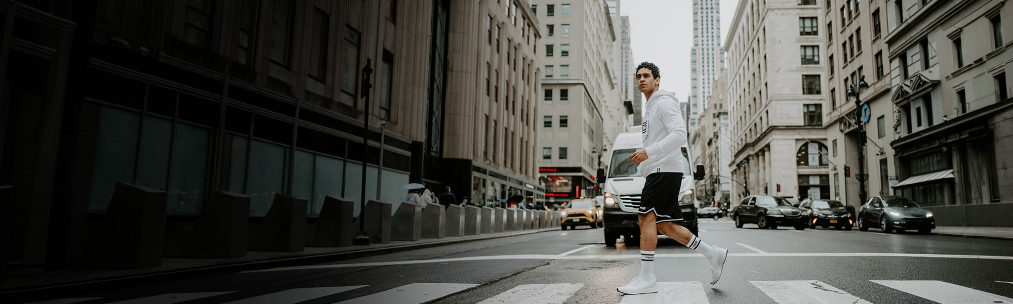 Capelli Sport Lifestyle Collections