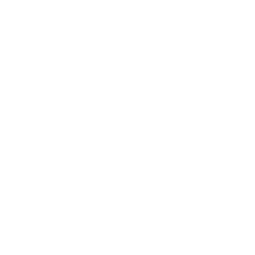 Pioneer Quix Stix