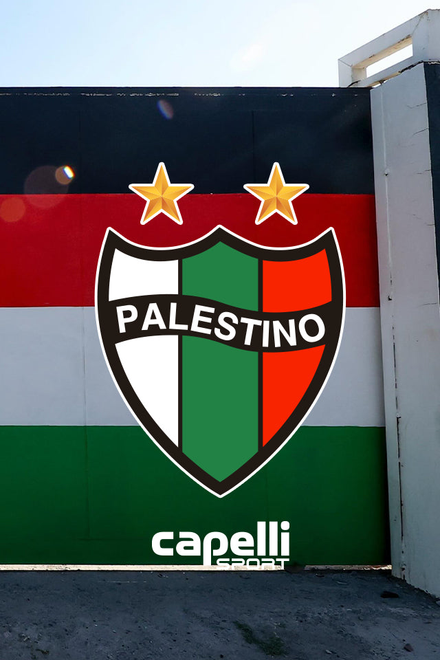 Palestino Tickets & Experiences at La Cisterna | Football Host Palestino Tickets & Experiences at La Cisterna | Football Host