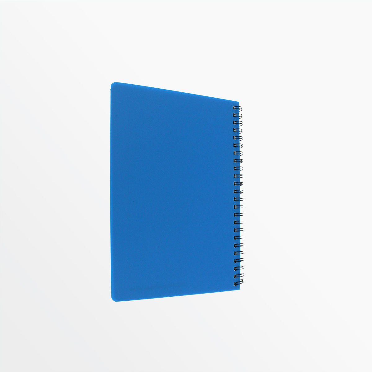 Mini Soccer Notebook Capelli Sport